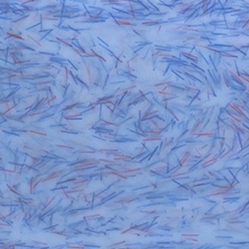 Цветной гель-лак для ногтей голубой CNI Зимнее настроение GPC 149-9 Снежная пума, 9 мл