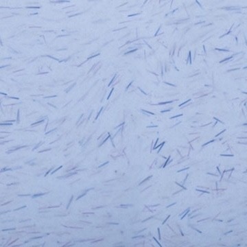 Цветной гель-лак для ногтей голубой CNI Зимнее настроение GPC 150-9 Зимнее утро, 9 мл