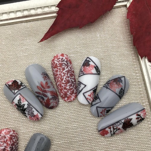 Пластина для стемпинга Swanky Stamping №51