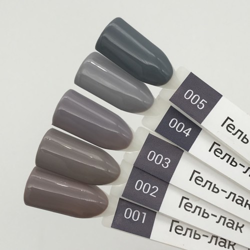 Цветной гель-лак для ногтей серый PASHE №005 "Стальной серый", 9мл