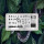 Пластина для стемпинга Go Stamp №054 Venom - @nail_ufa_nai